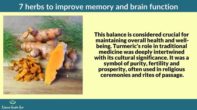 Boost Your Brainpower: Unlocking the Secrets of 7 Memory-Enhancing Herbs смотреть онлайн