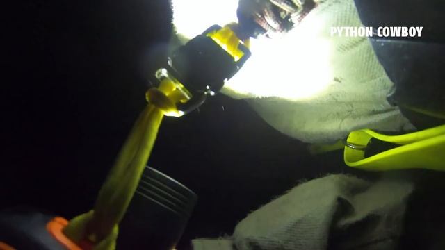 Finding One Of The Most Shocking Animals In South Florida смотреть онлайн