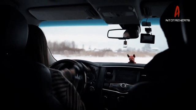 Контраварийная подготовка в СПб. смотреть онлайн