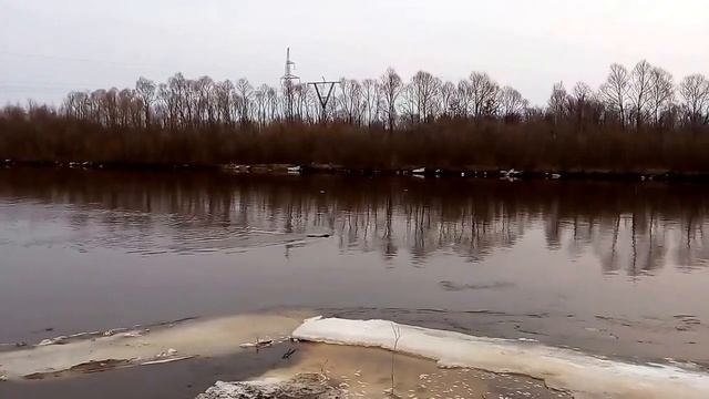 Ондатра или выдра? смотреть онлайн