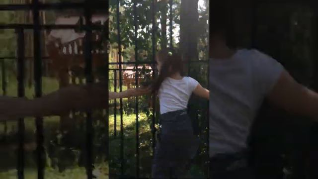 Прогулка возле зоопарка в Абзаково, 30.08.2020 смотреть онлайн