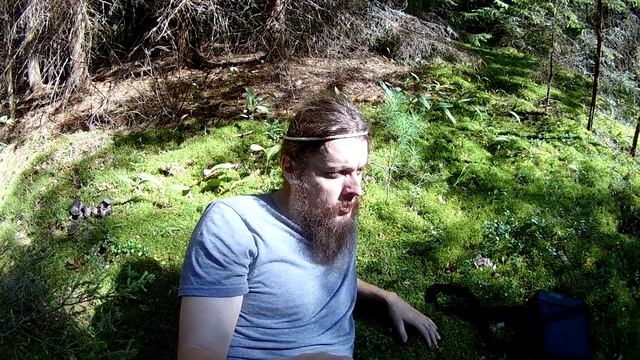 Грузди Перечные и Подорешник (Груздь красно-коричневый) 12.08.2018 смотреть онлайн