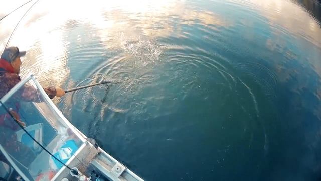 Щука на Ирикле смотреть онлайн