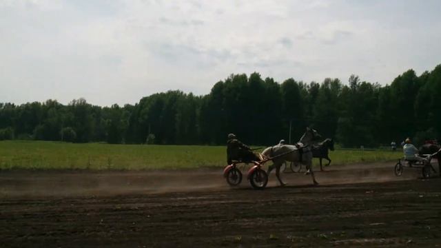 СабанТуй 2015 Соревнования (Теплая речка) смотреть онлайн
