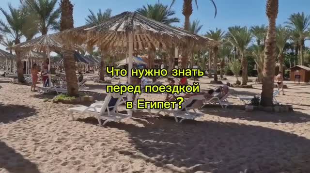ЧТО НУЖНО ЗНАТЬ ПЕРЕД ПОЕЗДКОЙ В ЕГИПЕТ? #путешествие #отдых #отпуск #курорт #тур #египет #поездка смотреть онлайн