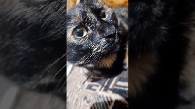 Лилечка крупным планом смотреть онлайн