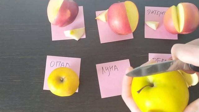сравнение вкуса яблок сортов Моди, Кариот 7, Энтерпрайз, Реанда, Луна, Опал смотреть онлайн