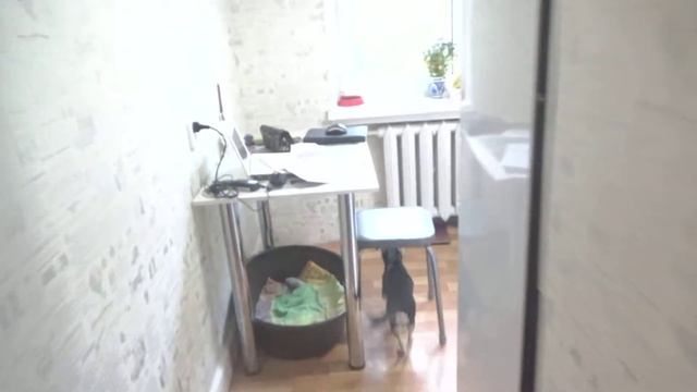 Новый стол ИКЕЯ, собираем компьютер, новый массажер смотреть онлайн
