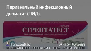 Все о перианальном дерматите
