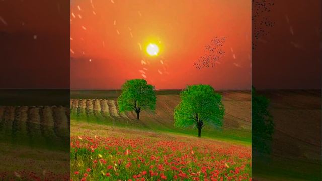 Удивительные места планеты.Amazing places on the planet. смотреть онлайн