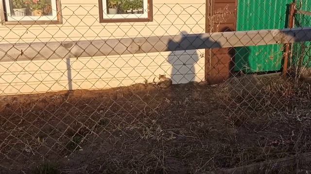 вложик | про смену прически, отдых с подругами, радостные моменты из жизни смотреть онлайн