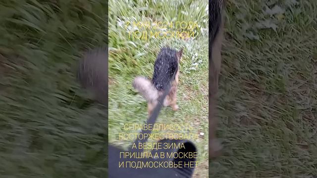 7 мая 2024г зима пришла! смотреть онлайн