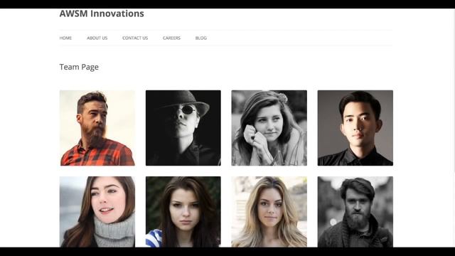 Team WordPress Plugin - AWSM Team Pro смотреть онлайн