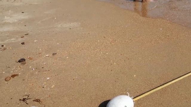 Бугазская коса Пляж с самой чистой водой смотреть онлайн