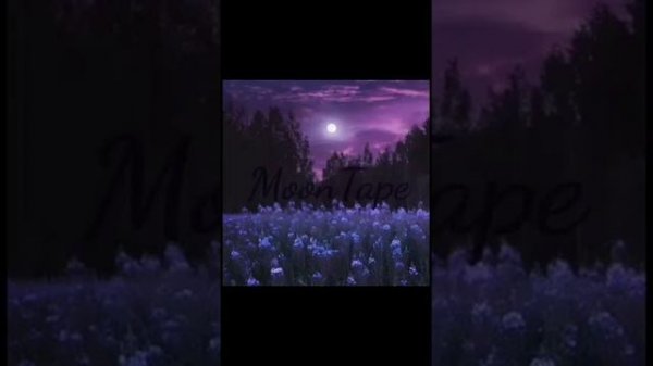 MoonTape - Kit Conversations (Groovy Loops)