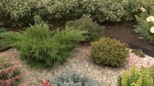 Как обустроить палисадник?