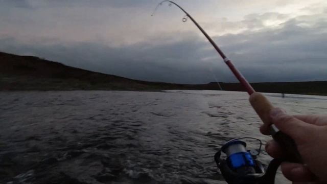 Рыбалка на р. Воркута 13 08 22 смотреть онлайн