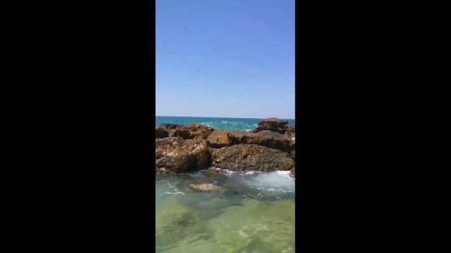 Море, волны и саксофон смотреть онлайн
