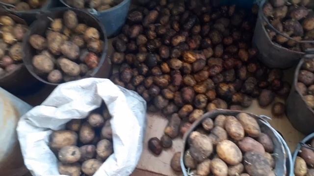 Воскресенье/влог/погреб в воде/ууух устала!/