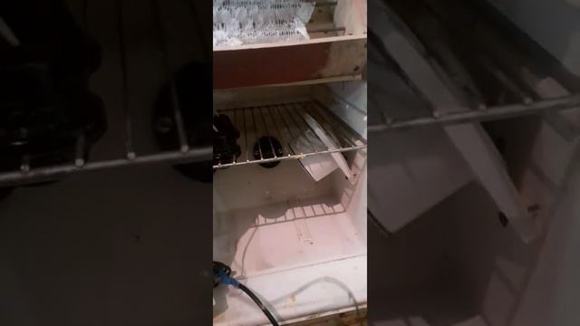 инкубатор из холодильника смотреть онлайн