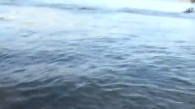 Jetski Yamaha GP 1200 Генеевка