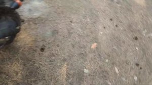 Обновки на скутер Honling QT-7