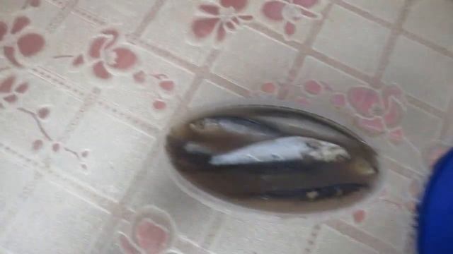 Килечка с картошечкой! Kilechka With Potatoes!