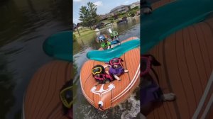 СМЕШНЫЕ ЖИВОТНЫЕ 2023 ЛУЧШИЕ ПРИКОЛЫ С КОТАМИ И CОБАКАМИ