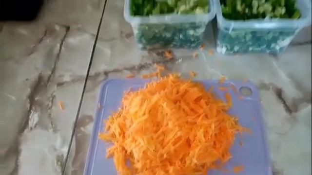 Замораживаю ЛУК БАТУН на ЗИМУ. ПРОСТО!!! БЫСТРО!!! 16 августа 2020г. смотреть онлайн