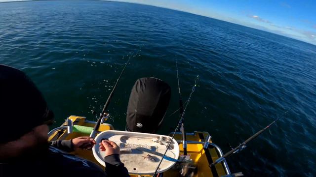 How to cut and present squid rings and fish chunk baits смотреть онлайн