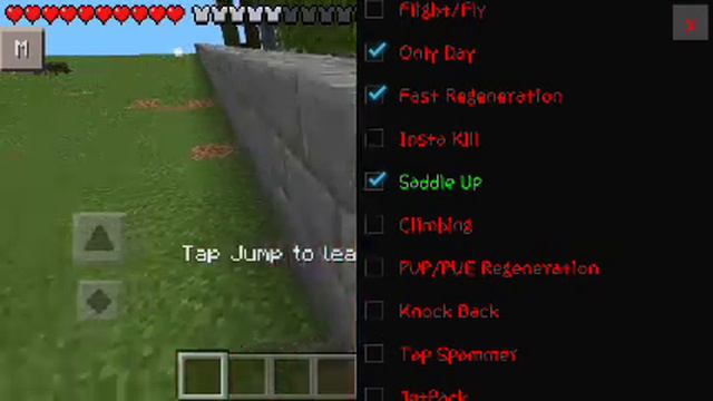 Скрипт Gnost Hack для майнкрафт 095 смотреть онлайн