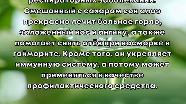 ПОЛЬЗА И ПРИМЕНЕНИЕ АЛОЭ смотреть онлайн