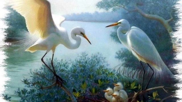 Неравенство Э.Асадов смотреть онлайн