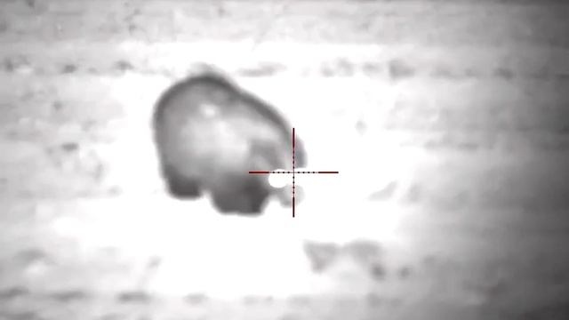 26. Pulsar Digisight Ultra N455 LRF
