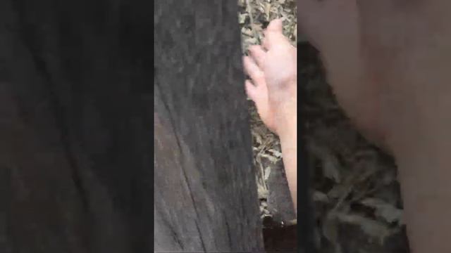 Молли младшая смотреть онлайн