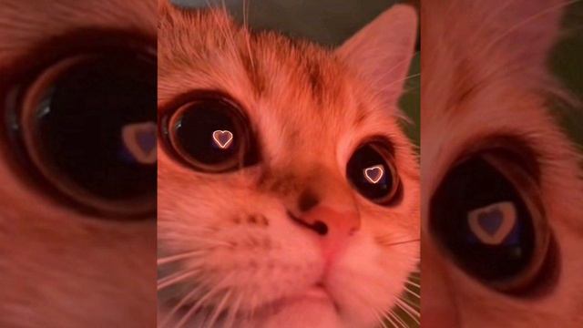 Vance Joy- riptide (speed up) смотреть онлайн