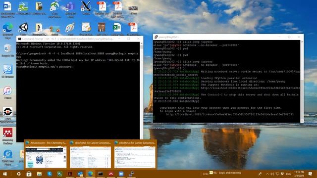 Run Jupyter notebook from a remote server смотреть онлайн