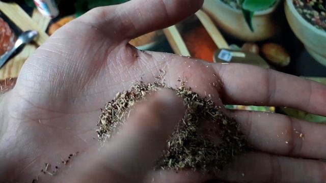 Чай Lovare - Имбирное утро - смесь травяного и ягодного чая с имбирем и цедрой лимона