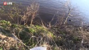 Димон «заминированный тапок» рассказывает о себе и своей жизни