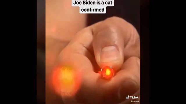 Proof Joe Biden is a cat смотреть онлайн