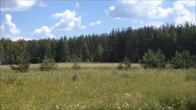 Панорама нашего поля смотреть онлайн