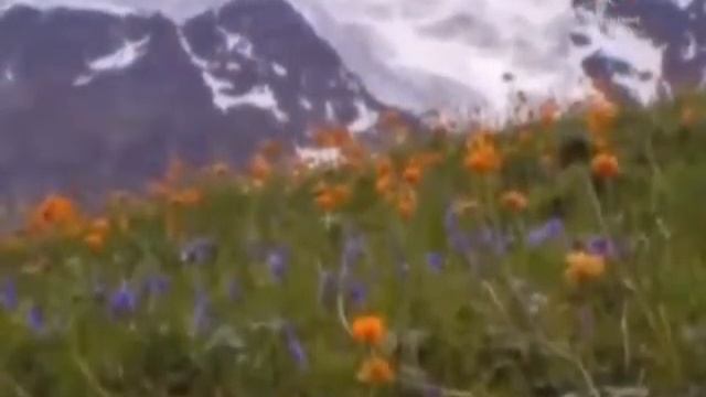 Вводное занятие "Литературные течения Серебряного века" смотреть онлайн