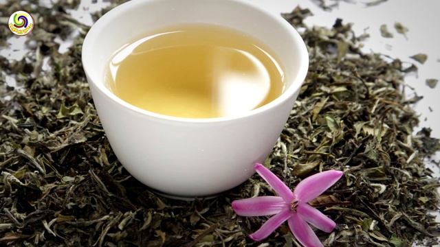 Чем вреден чай: 6 неожиданных выводов учёных | Полезные советы смотреть онлайн