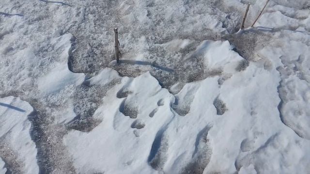 Пашня или стерня? Ищем ответ)) смотреть онлайн