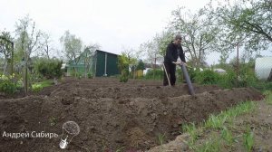 ПОСАДКА КАРТОФЕЛЯ СОРТ АМЕРИКАНКА В ПИРАМИДЫ.УРОЖАЙНОСТЬ В 2 РАЗА БОЛЬШЕ+УДОБСТВО ПРИ УХОДЕ И СБОРЕ