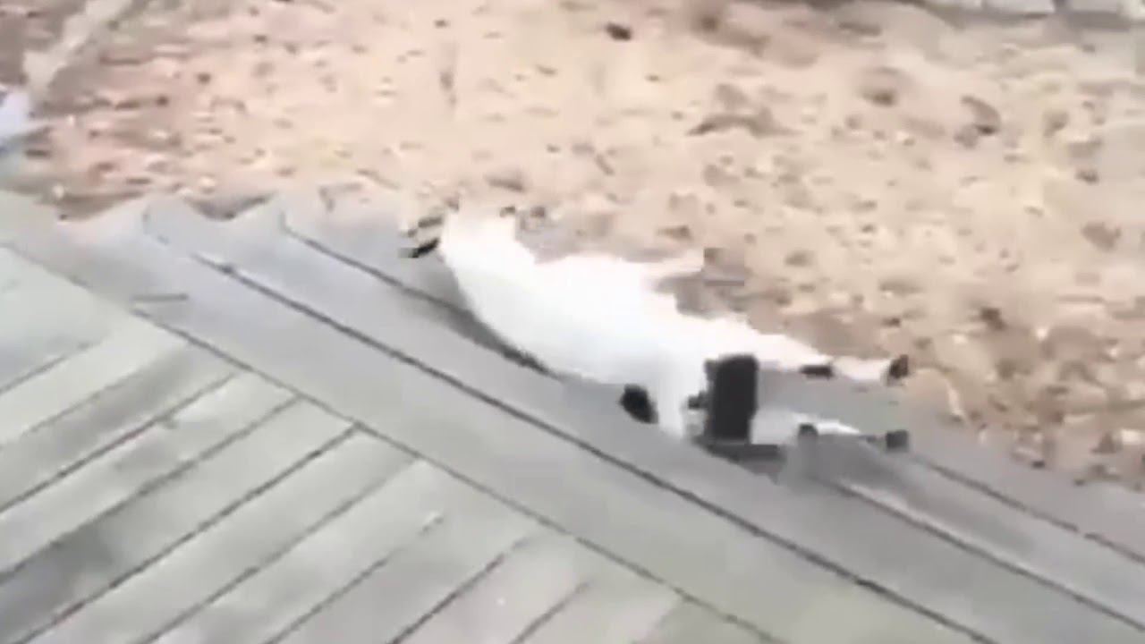 коза упала смотреть онлайн