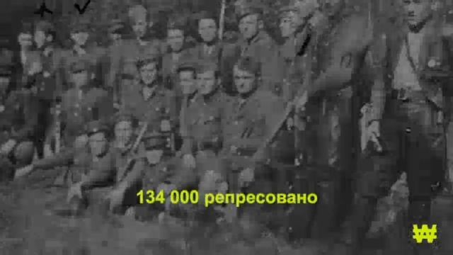 Спец Випуск смотреть онлайн