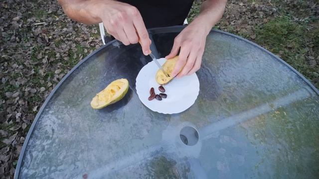 Kako Se Jede Indijanska Banana? | Koji Je Pravi Trenutak Za Berbu?