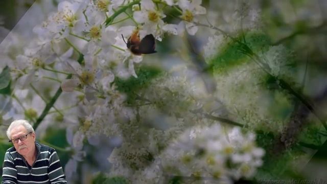 Ну почему ты не моя. Михаил Лейкин(премьера) смотреть онлайн