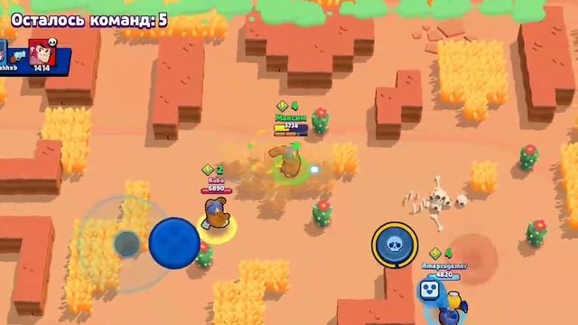 Стрим по браво Старс или роблокс смотреть онлайн